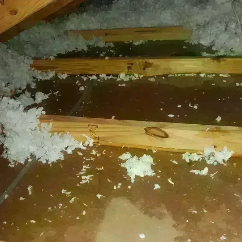 Attic Water Damage in Gold Bar, WA